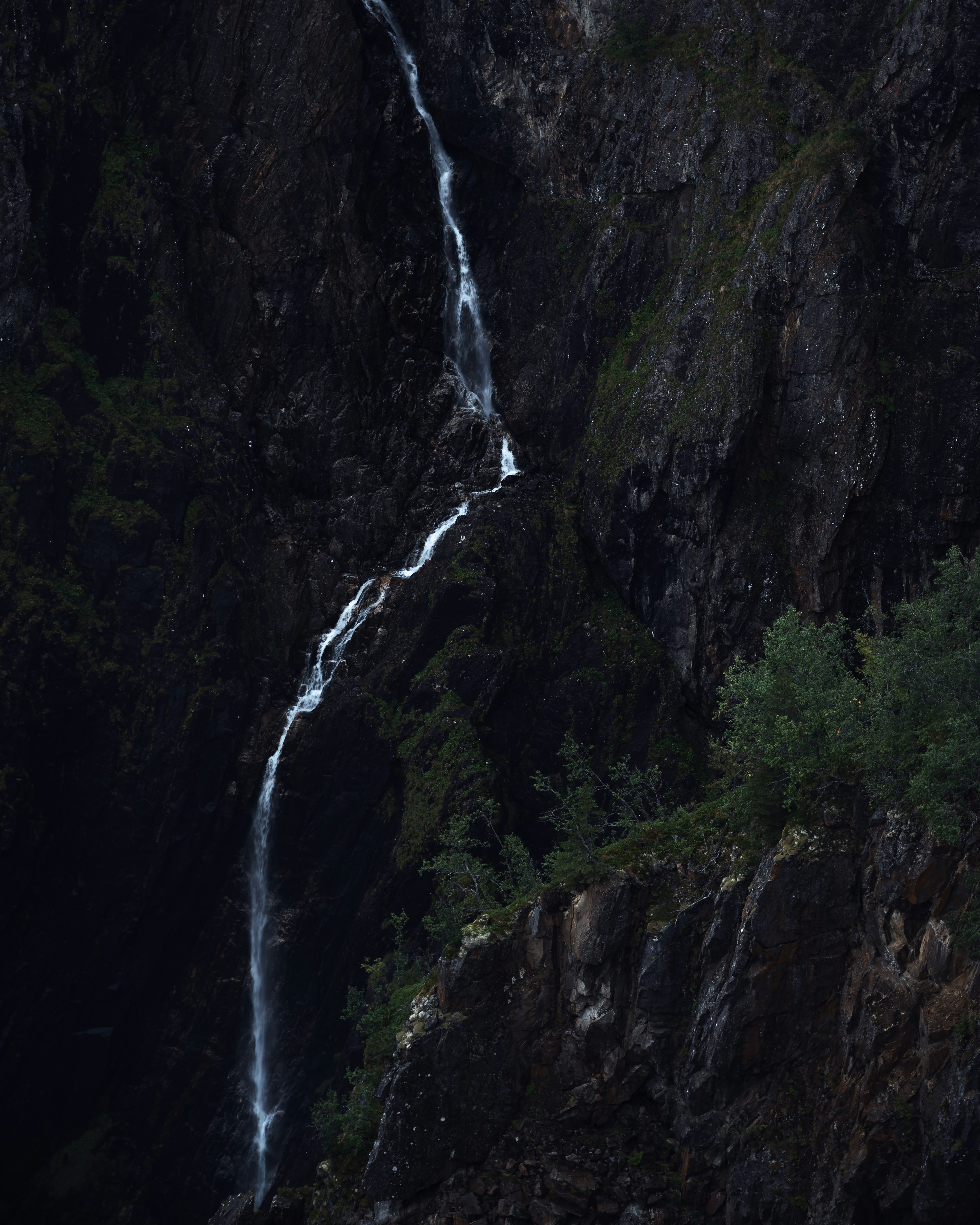 waterfalls in the middle of the forest